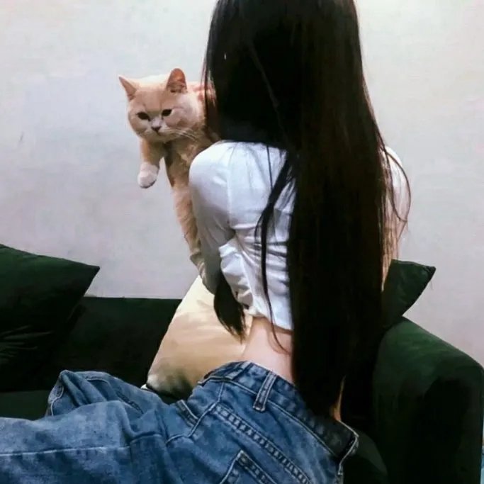 猎鹰队